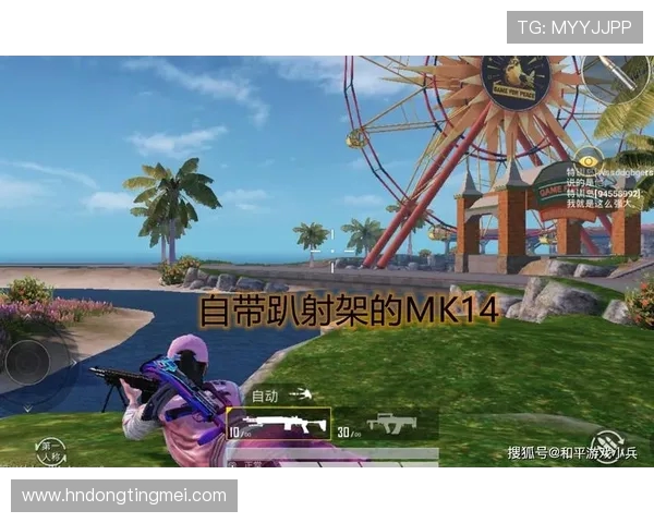 和平精英战术解析：TES快攻策略背后的深层思考与实践