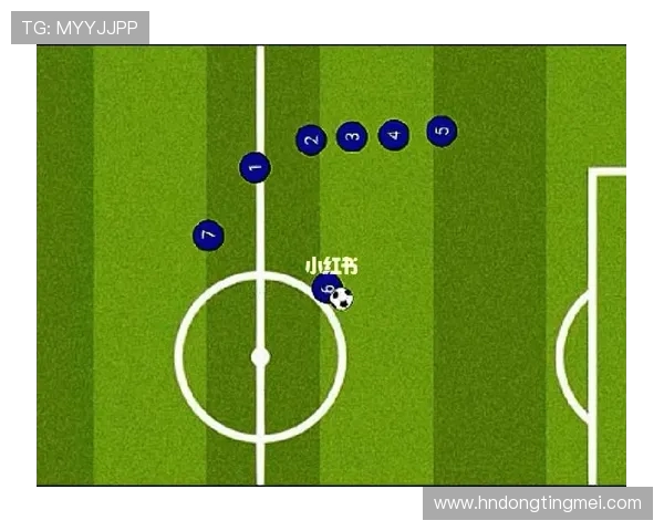 飞盘战术全解析：从基础到进阶的全面指南与实战技巧分享