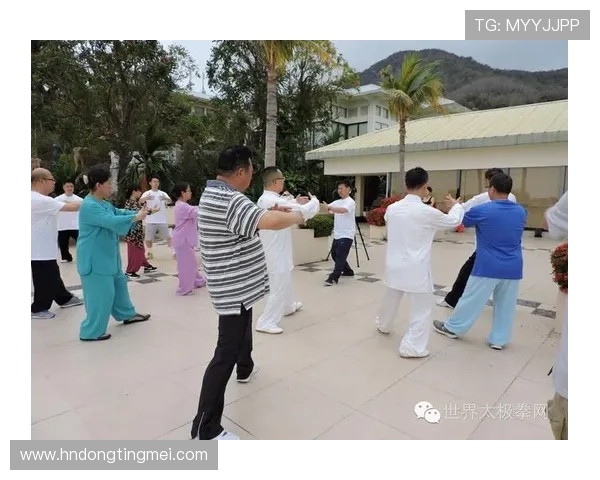 专访杨军：探寻网球世界中的成功秘诀与成长之路