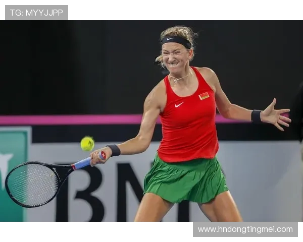 南京网球队在联合会杯中的个人能力表现分析与点评